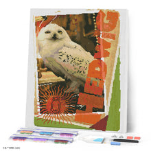 Load image into Gallery viewer, Diamond Painting - Hedwig Card - Harry Potter 40x50cm canvas already framed