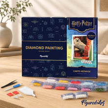 Load image into Gallery viewer, Diamond Painting - Hedwig Card - Harry Potter 40x50cm canvas already framed