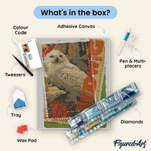 Load image into Gallery viewer, Diamond Painting - Hedwig Card - Harry Potter 40x50cm canvas already framed