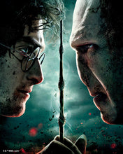Load image into Gallery viewer, Diamond Painting - Harry Potter vs Lord Voldemort 40x50cm canvas already framed