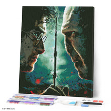 Load image into Gallery viewer, Diamond Painting - Harry Potter vs Lord Voldemort 40x50cm canvas already framed