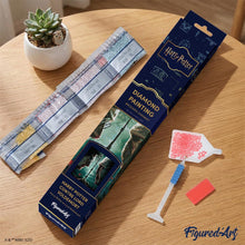 Load image into Gallery viewer, Diamond Painting - Harry Potter vs Lord Voldemort