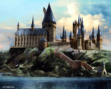 Load image into Gallery viewer, Diamond Painting - Hogwarts Castle - Harry Potter 40x50cm canvas already framed