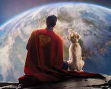 Load image into Gallery viewer, Diamond Painting - Superman and Krypto 40x50cm canvas already framed