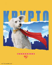 Load image into Gallery viewer, Diamond Painting - Krypto with Skyline - Superman 40x50cm canvas already framed