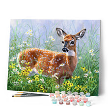 Load image into Gallery viewer, Paint by numbers Doe in the meadow Figured'Art new arrivals, intermediate, animals, deer