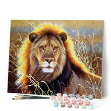 Load image into Gallery viewer, Paint by numbers | Lion in the savannah | animals intermediate lions new arrivals | Figured'Art