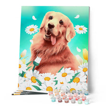 Load image into Gallery viewer, Paint by numbers | Golden retriever and daisies | animals dogs easy flowers new arrivals | Figured'Art