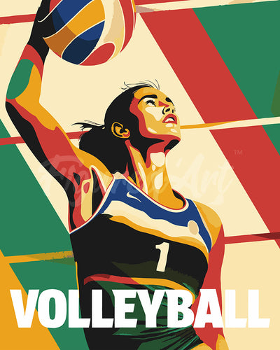 Paint by numbers kit for adults Sport Poster Volleyball Figured'Art UK