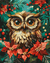 Load image into Gallery viewer, Paint by numbers kit for adults Christmas Owl Figured&#39;Art UK