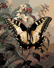 Load image into Gallery viewer, Paint by numbers kit for adults Swallowtail and White Flowers Figured&#39;Art UK