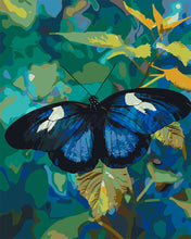 Load image into Gallery viewer, Paint by numbers kit for adults Heliconius Cydno Butterfly Figured&#39;Art UK