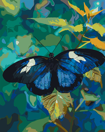 Paint by numbers kit for adults Heliconius Cydno Butterfly Figured'Art UK