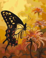 Load image into Gallery viewer, Paint by numbers kit for adults Swallowtail and Orange Flowers Figured&#39;Art UK