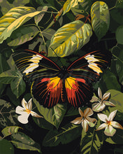 Load image into Gallery viewer, Paint by numbers kit for adults Heliconius Erato Butterfly Figured&#39;Art UK