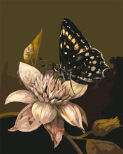 Load image into Gallery viewer, Paint by numbers kit for adults Mormon Butterfly and Flower Figured&#39;Art UK