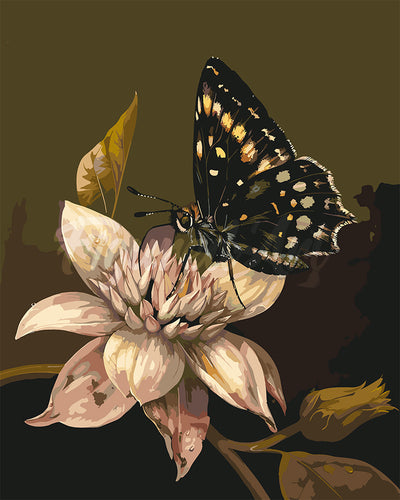 Paint by numbers kit for adults Mormon Butterfly and Flower Figured'Art UK