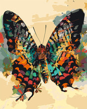 Load image into Gallery viewer, Paint by numbers kit for adults Sunset Moth Butterfly Figured&#39;Art UK