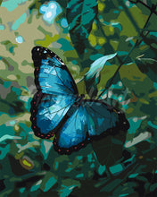 Load image into Gallery viewer, Paint by numbers kit for adults Blue Morpho Butterfly Figured&#39;Art UK