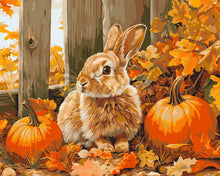 Load image into Gallery viewer, Paint by numbers kit for adults Bunny and Pumpkins Figured&#39;Art UK