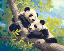 Load image into Gallery viewer, Paint by numbers kit for adults Pandas on a Branch Figured&#39;Art UK