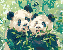 Load image into Gallery viewer, Paint by numbers kit for adults Pandas Eating Bamboo Figured&#39;Art UK