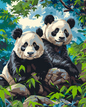 Load image into Gallery viewer, Paint by numbers kit for adults Giant Panda Twins Figured&#39;Art UK