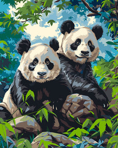 Paint by numbers kit for adults Giant Panda Twins Figured'Art UK