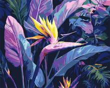 Load image into Gallery viewer, Paint by numbers kit for adults Bird of Paradise Figured&#39;Art UK