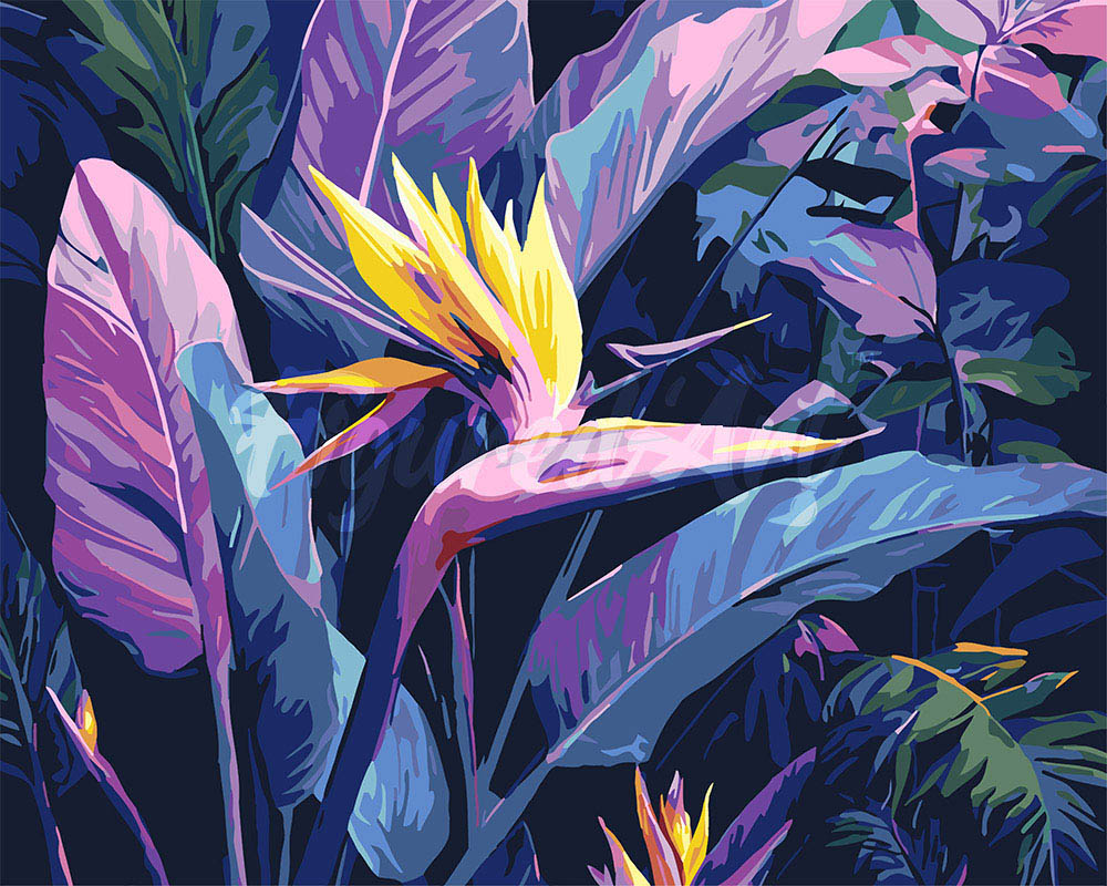 Paint by numbers kit for adults Bird of Paradise Figured'Art UK