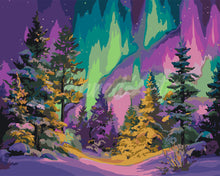 Load image into Gallery viewer, Paint by numbers kit for adults Aurora Forest Figured'Art UK