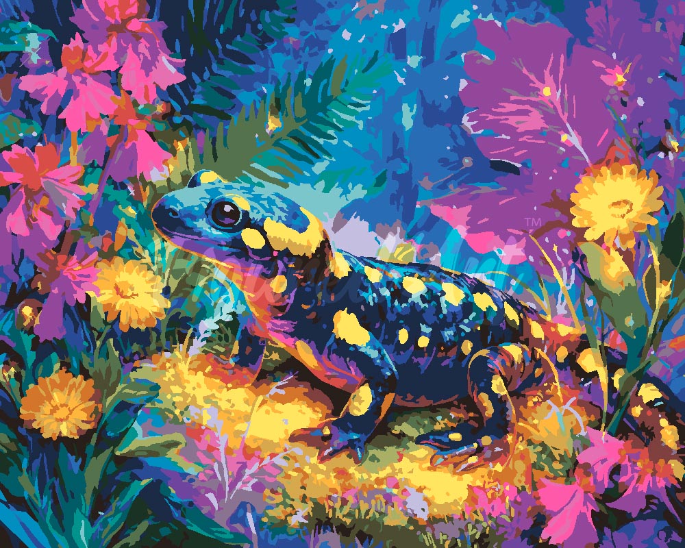 Paint by numbers kit for adults Polka Dot Salamander Figured'Art UK