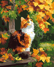 Load image into Gallery viewer, Paint by numbers kit for adults Calico Cat in Autumn Figured&#39;Art UK