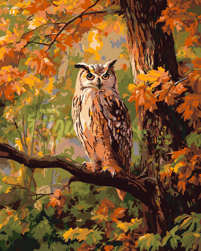 Paint by numbers kit for adults Owl Among Golden Leaves Figured'Art UK