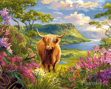 Load image into Gallery viewer, Paint by numbers kit for adults Highland Cow Spring Valley Figured'Art UK