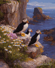 Load image into Gallery viewer, Paint by numbers kit for adults Puffin sunset cliffs Figured'Art UK