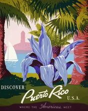 Load image into Gallery viewer, Paint by numbers kit for adults Discover Puerto Rico Figured'Art UK