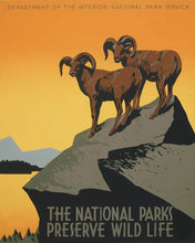 Load image into Gallery viewer, Paint by numbers kit for adults National Parks Poster Figured'Art UK