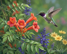 Load image into Gallery viewer, Paint by numbers kit for adults Hummingbird Haven Figured'Art UK