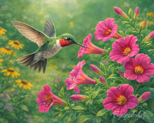 Load image into Gallery viewer, Paint by numbers kit for adults Fluttering Hummingbird Figured'Art UK