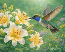 Load image into Gallery viewer, Paint by numbers kit for adults Hummingbird in Bloom Figured'Art UK