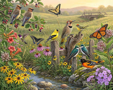 Load image into Gallery viewer, Paint by numbers kit for adults Wildflower Harmony Figured'Art UK