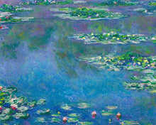 Load image into Gallery viewer, Paint by numbers kit for adults Water Lilies, 1906 - Monet Figured'Art UK