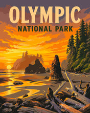Load image into Gallery viewer, Paint by numbers kit for adults Olympic National Park - Washington Figured'Art UK