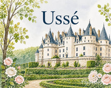 Load image into Gallery viewer, Paint by numbers kit for adults Ussé Castle Figured'Art UK