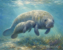 Load image into Gallery viewer, Paint by numbers kit for adults Manatee mom and baby cuddles Figured'Art UK