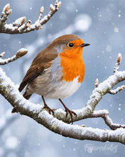 Load image into Gallery viewer, Paint by numbers kit for adults Winter Robin Figured'Art UK