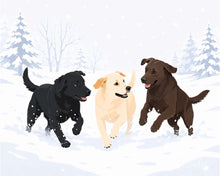 Load image into Gallery viewer, Paint by numbers kit for adults Winter Dog Play Figured'Art UK