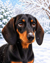 Load image into Gallery viewer, Paint by numbers kit for adults Winter Dachshund Portrait Figured'Art UK