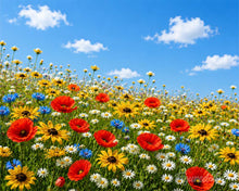 Load image into Gallery viewer, Paint by numbers kit for adults Wildflower Meadow Figured'Art UK